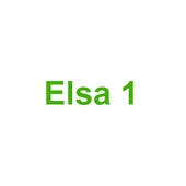 ELSA 1